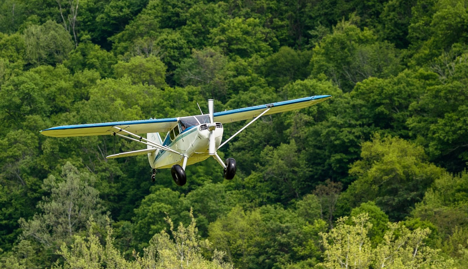 Scott Anttila gallery photo 5