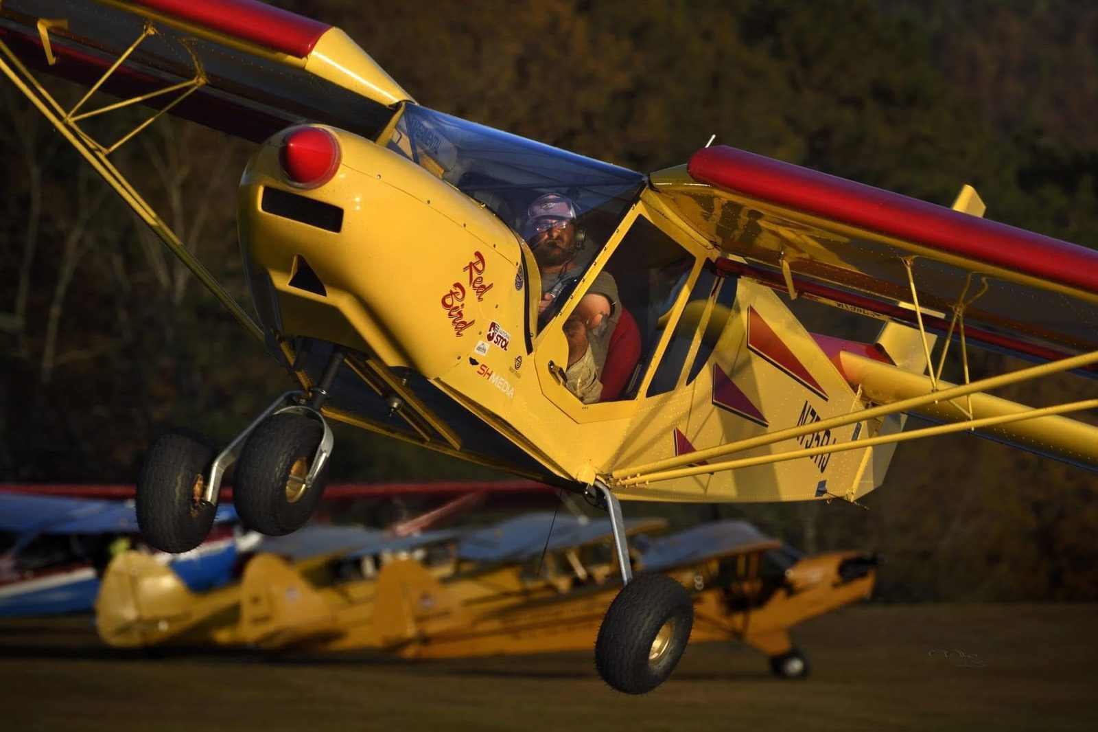 Sheldon Heatherington gallery photo 1