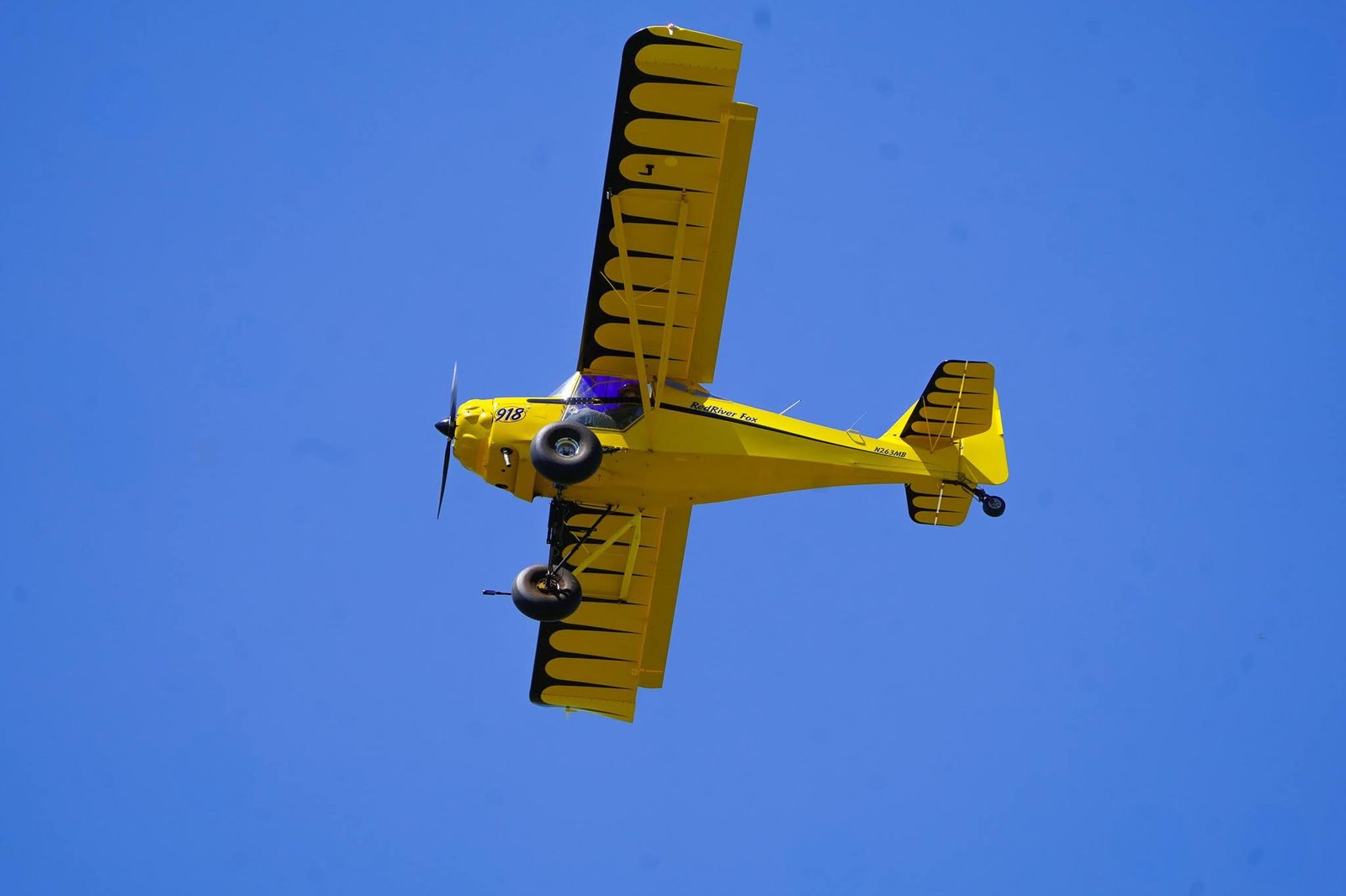 Scott Tyree gallery photo 6