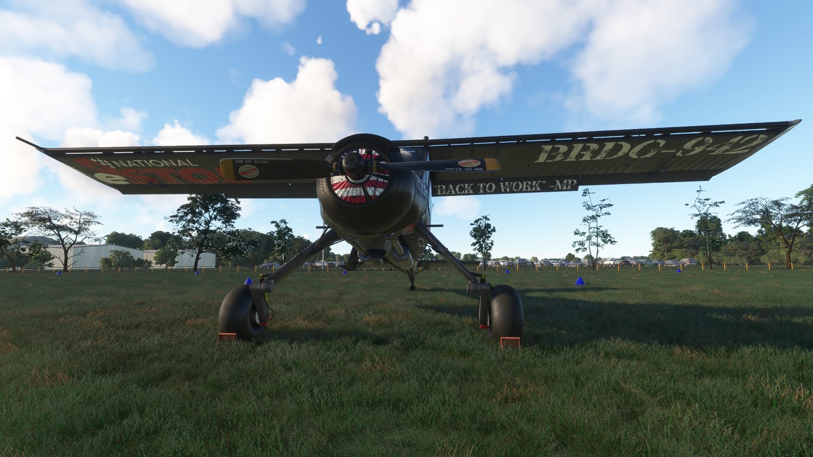 Brown Dog gallery photo 4