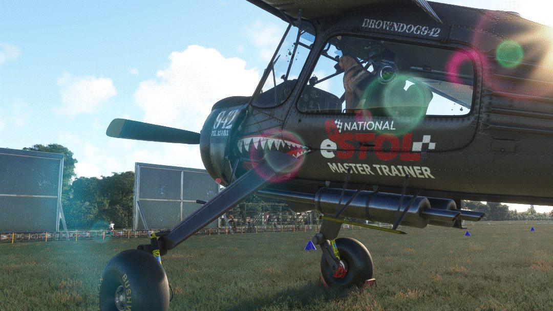 Brown Dog gallery photo 5