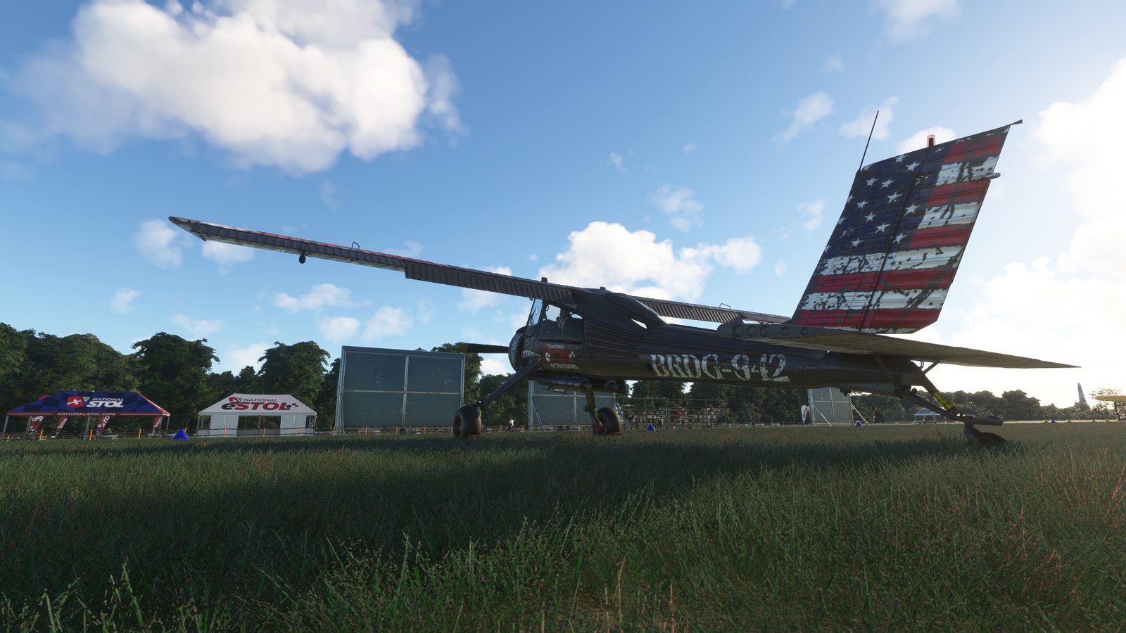 Brown Dog gallery photo 6