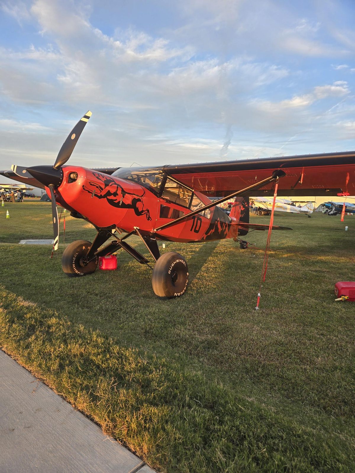 John McCardle gallery photo 1