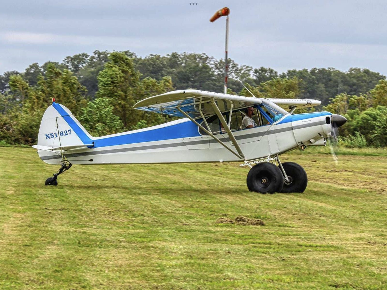 David Warren gallery photo 3